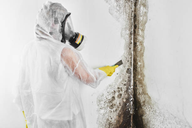 Best Crawl Space Mold Removal  in Mcfarland, CA