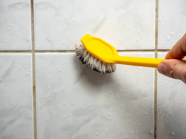 Best Professional Mold Removal  in Mcfarland, CA