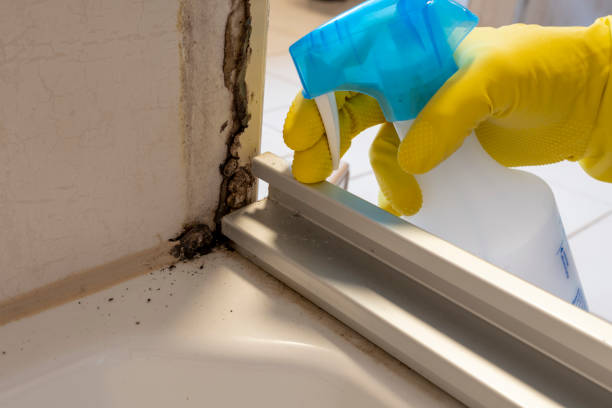 Best Mold Testing  in Mcfarland, CA