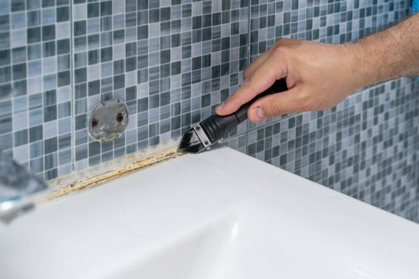Best Mold Removal Company Near Me  in Mcfarland, CA
