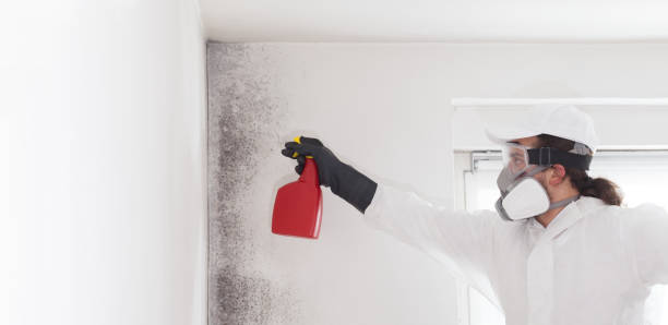 Best Home Mold Removal  in Mcfarland, CA
