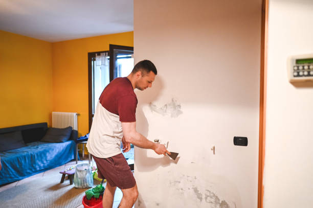 Best Emergency Mold Removal  in Mcfarland, CA