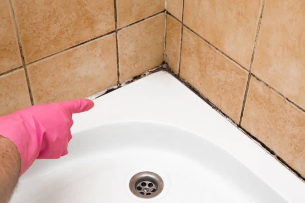 Best Local Mold Removal Service  in Mcfarland, CA